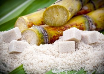 Refined Sugar Manufacturing - Shakarganj Limited
