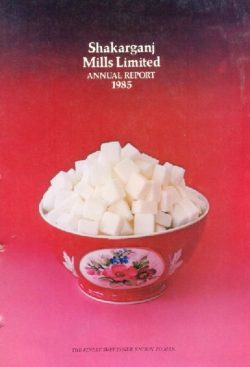 Annual Audited Report 1985