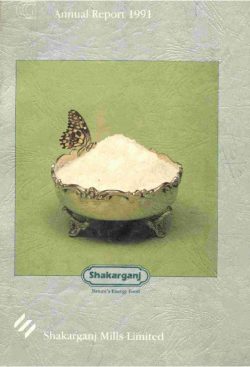 Annual Audited Report 1991