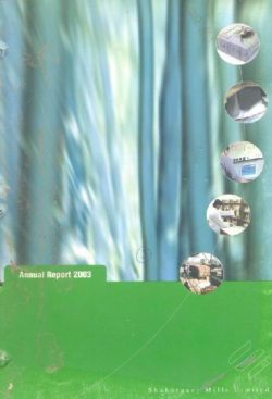 Annual Audited Report 2003