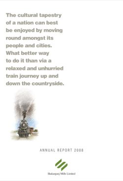Annual Audited Report 2008