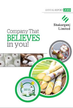 Annual Audited Report 2019