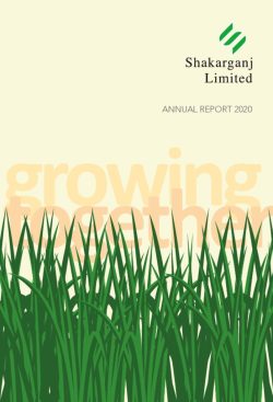 Annual Audited Report 2020