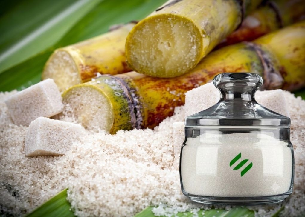 Sugar & Allied Products