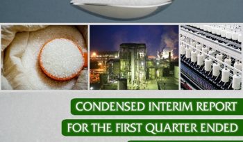 Quarterly Report for the Period Ended 31 December 2024